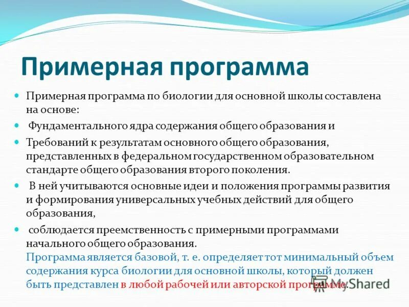 Рабочая программа общества