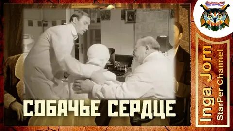 Собачье сердце рэш
