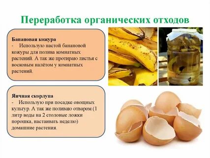 Органические отходы 1 класс