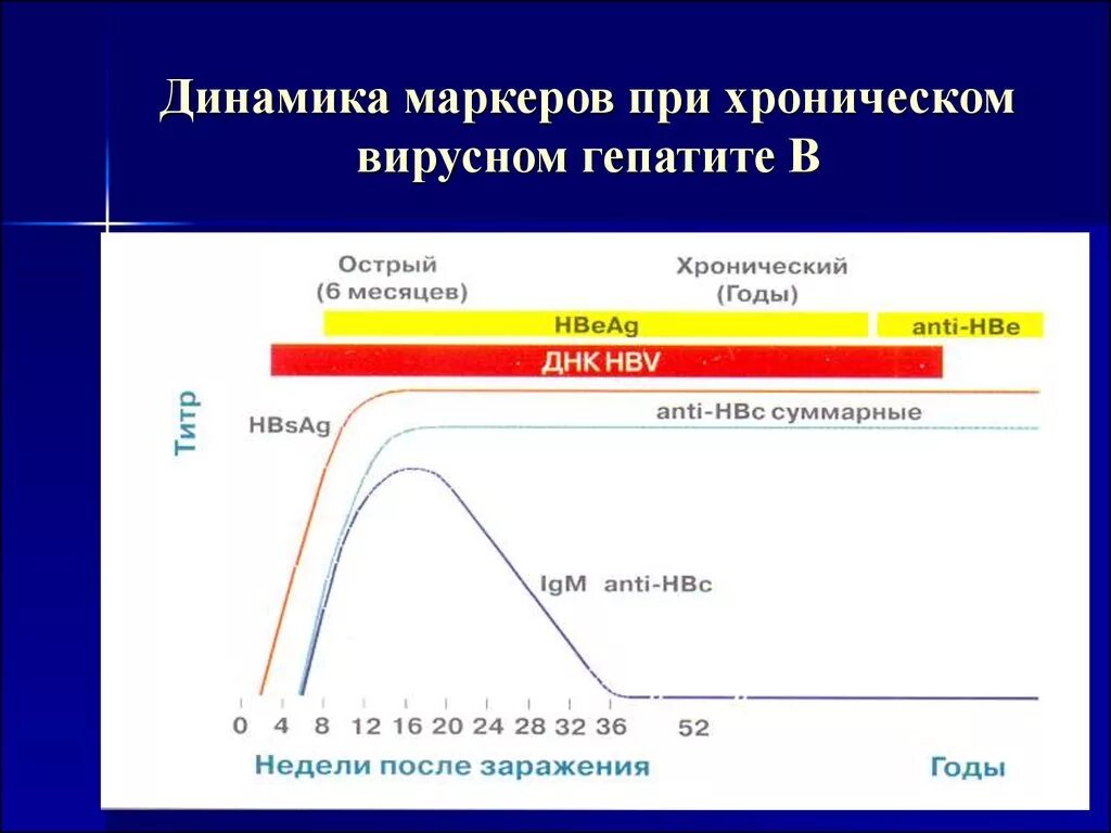 «Динамика диагностических маркеров гепатита. Динамика серологических маркеров гепатита в. Острый вирусный гепатит с динамика маркеров. Динамика маркеров вирусного гепатита а. Маркеры вируса гепатита