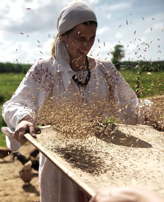 Очистка зерна от мякины и сора. Просеивание пшеницы. Веяние зерна. Обмолот зерна. Веять пшеницу.