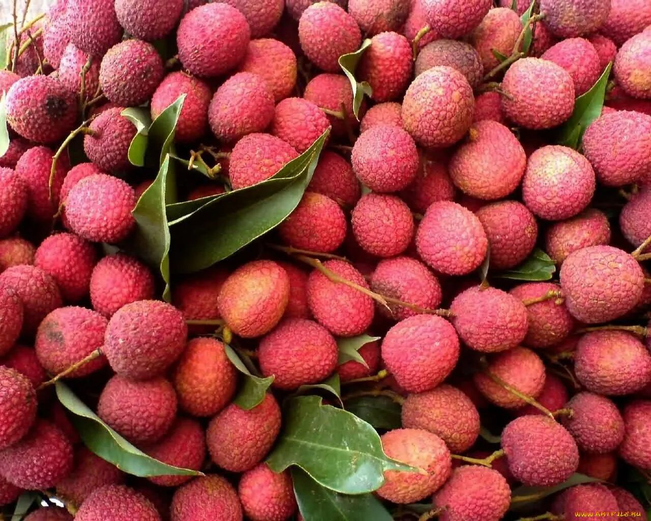 Litchi Fruit. Личи ягода. Экзотическая ягода личи. Китайские личи.