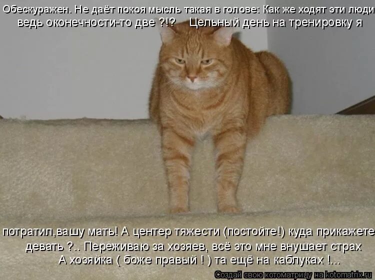 Стих ушла война ушла за поворот. Картинка не даешь покоя. Дурные мысли голове покоя не дают. Когда приходит вдохновение. Дурная голова рукам покоя не дает.