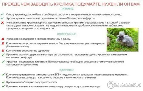 Можно ли кроликам мясо