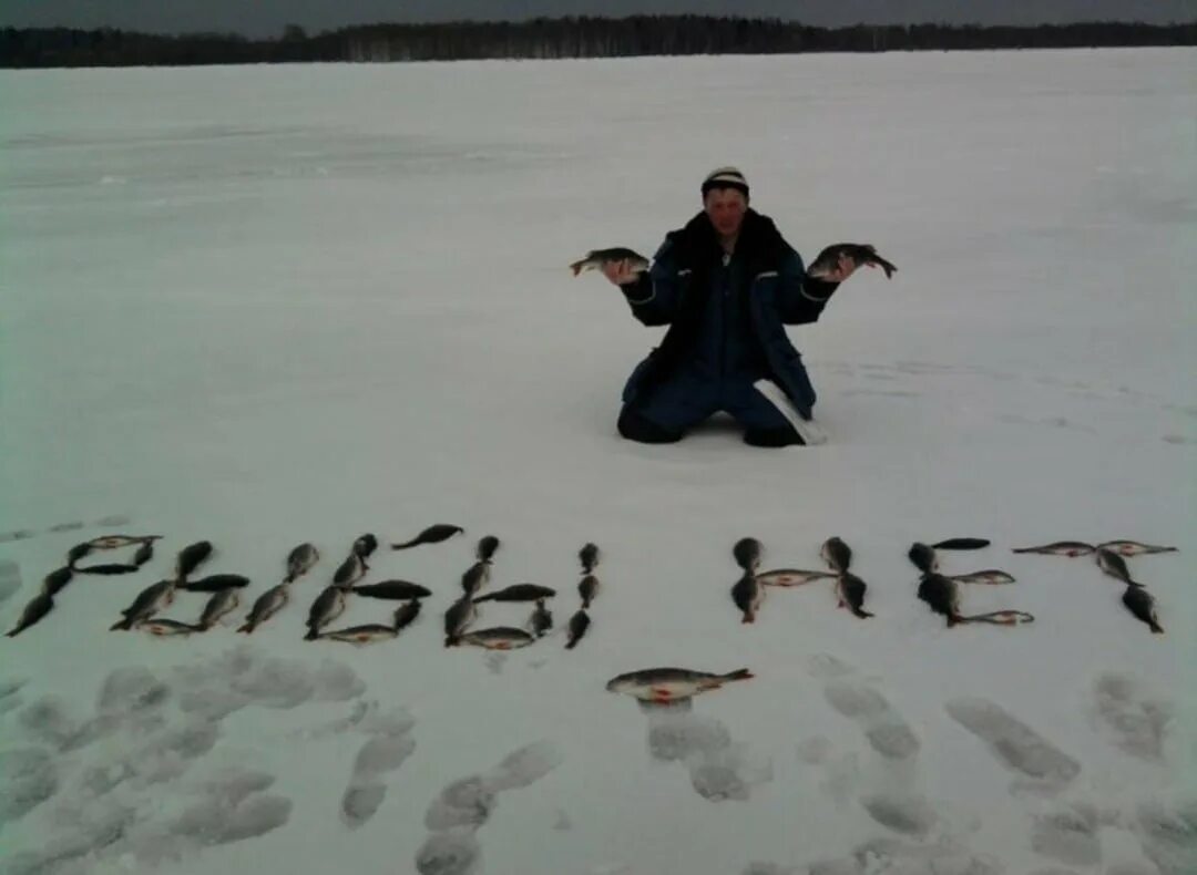 Ловлю роль. Зимняя рыбалка приколы. Мемы про зимнюю рыбалку. Рыбалка зимой приколы. Зимняя рыбалка смешные картинки.