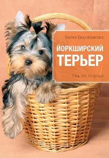 Йоркширский терьер отзывы владельцев плюсы и минусы