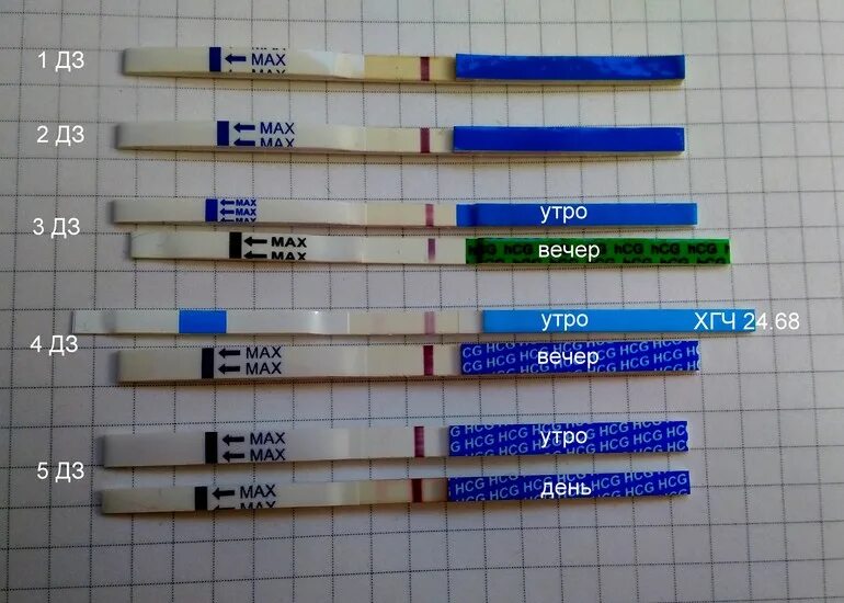26 день цикла можно забеременеть. Тест на беременность на 25 день цикла покажет беременность. Тест на беременность 27 день цикла покажет ли беременность. 25 День цикла тест на беременность. Тест на беременность на 28 день цикла.
