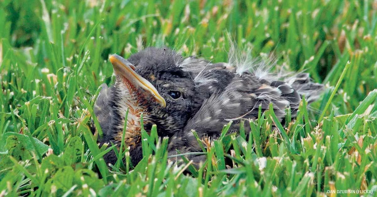 Воспитание в китае. Take its course. Take its course. Take its course. Take its course.