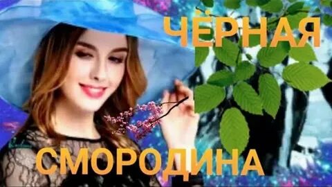 Sevenrose смородина