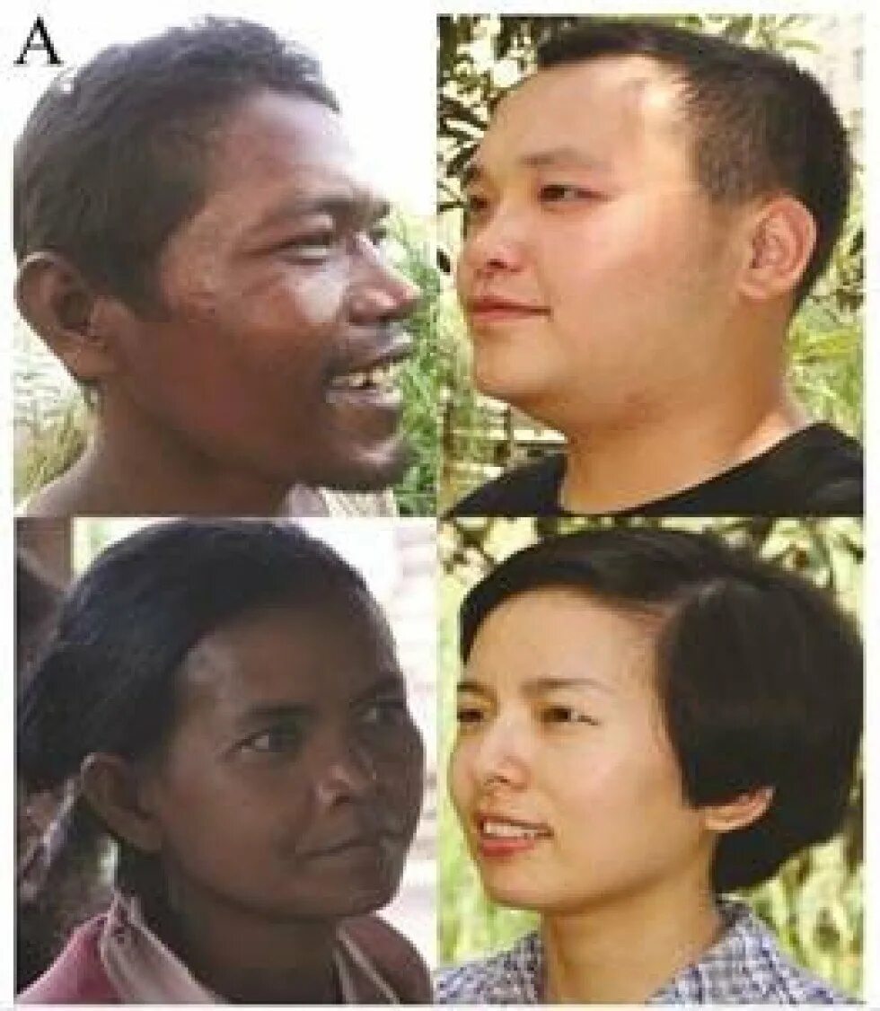 Раса тайцев. Цвет кожи китайцев. Кожа азиатов. Европеец и Азиат. Тайцы и китайцы.