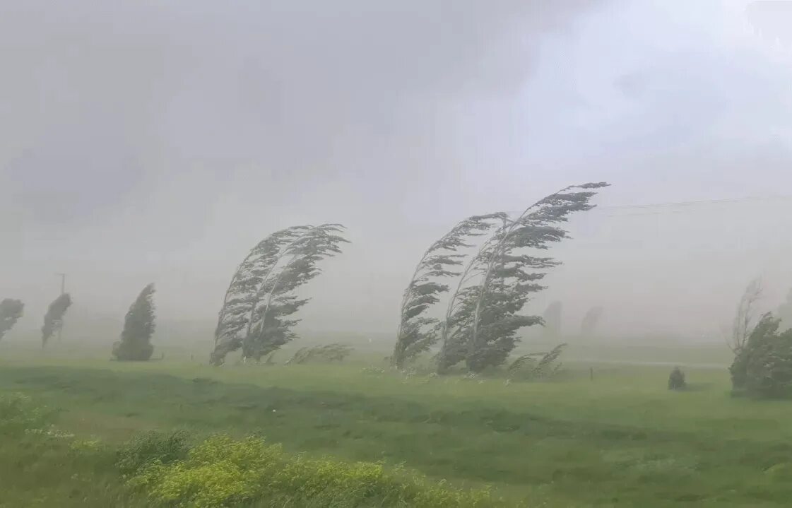 Внезапный сильный ветер