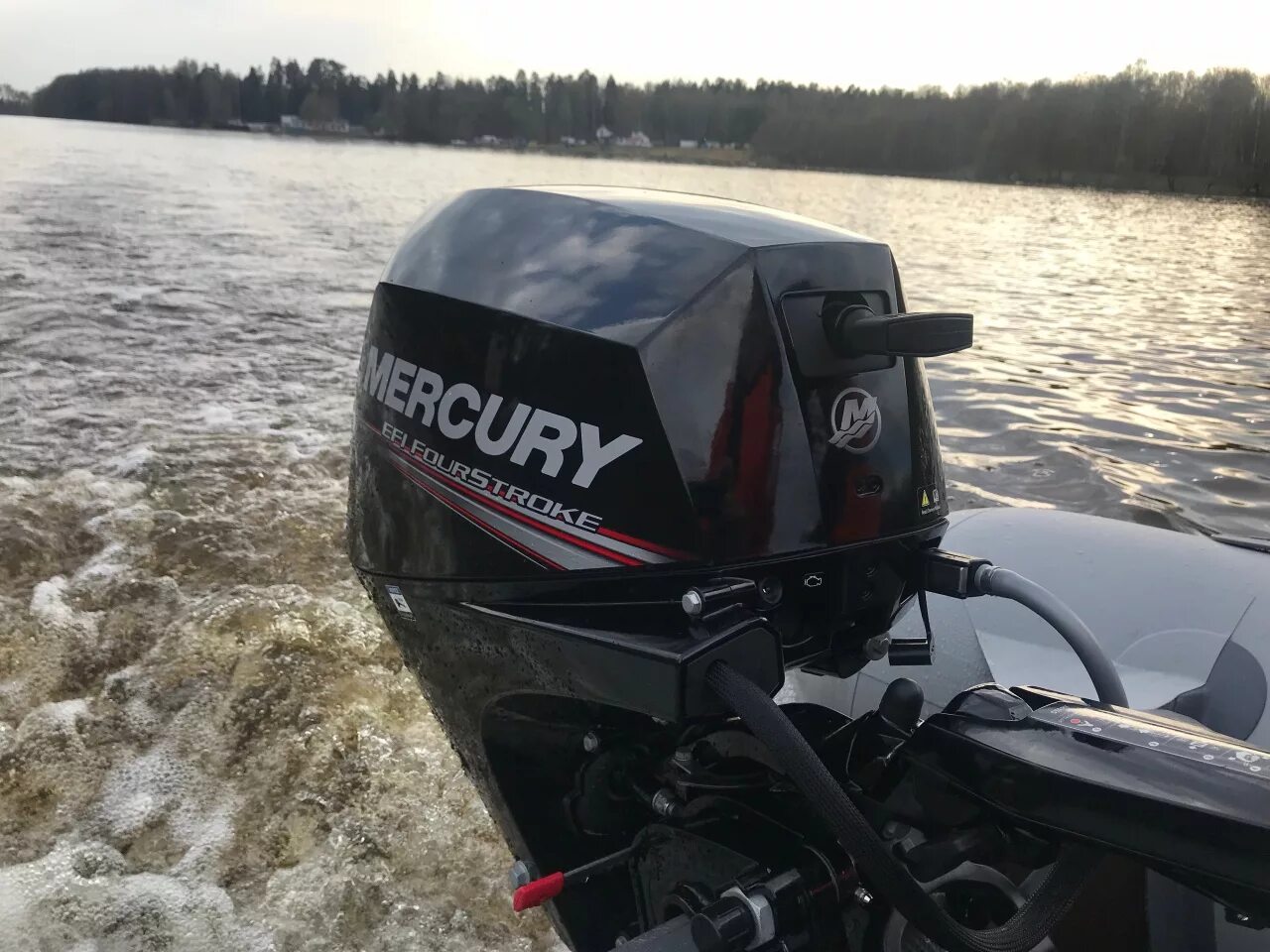 Лодочный мотор mercury me f 20 elpt. Mercury f10 efi. Лодочный мотор mercury f 10 mh efi. Лодочный мотор mercury me f 15 mlh. Mercury me f 10 mh efi.