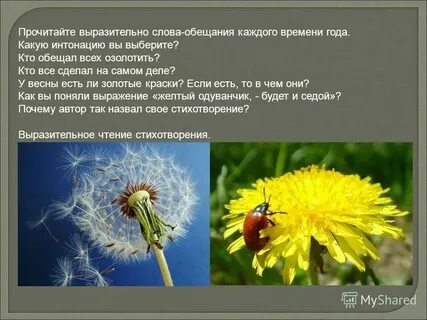 Золотое слово 3 класс презентация