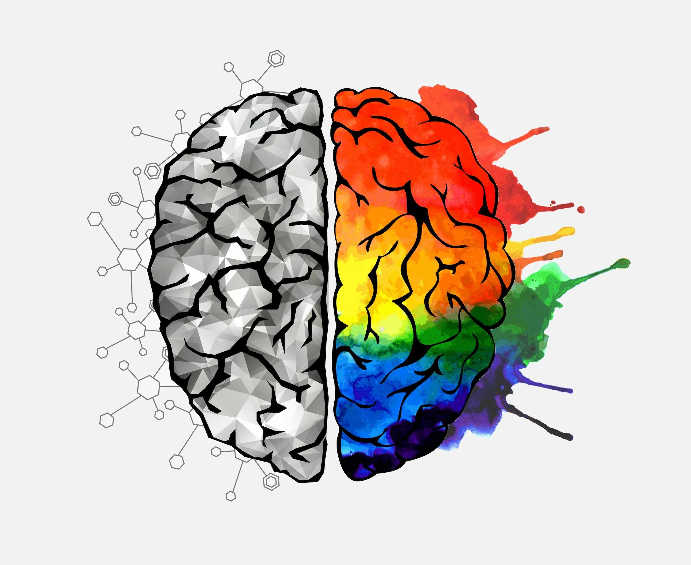 Brain 2 12. Полушария мозга. Креативный мозг. Цветной мозг. Левое и правое полушарие мозга.