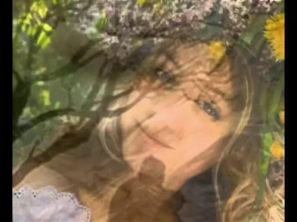 Гиг яворина. Песни степана гига. Назарий яремчук яворина. Степан гіга яворина. Степан гига певец.