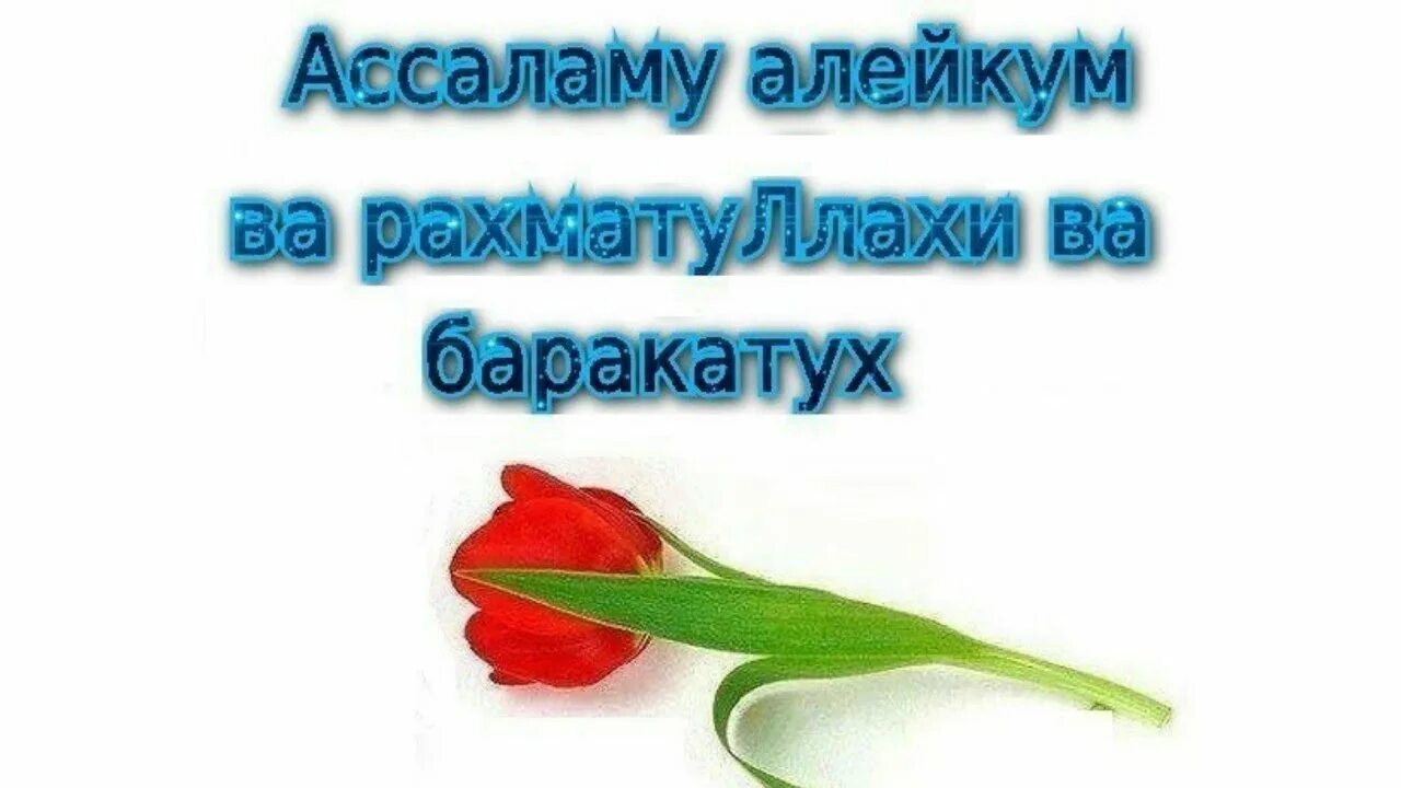 Правильно рахмат. Саляму алейкум. Открытки АС саляму алейкум. Ассаламу алейкум фото. Ваалейкум Ассалам ва РАХМАТУЛЛАХИ ва баракатух.