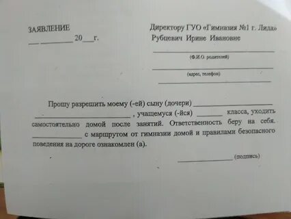 Заявление в гимназию