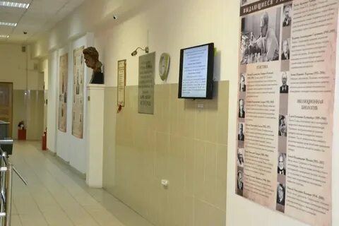 Институт биологических систем