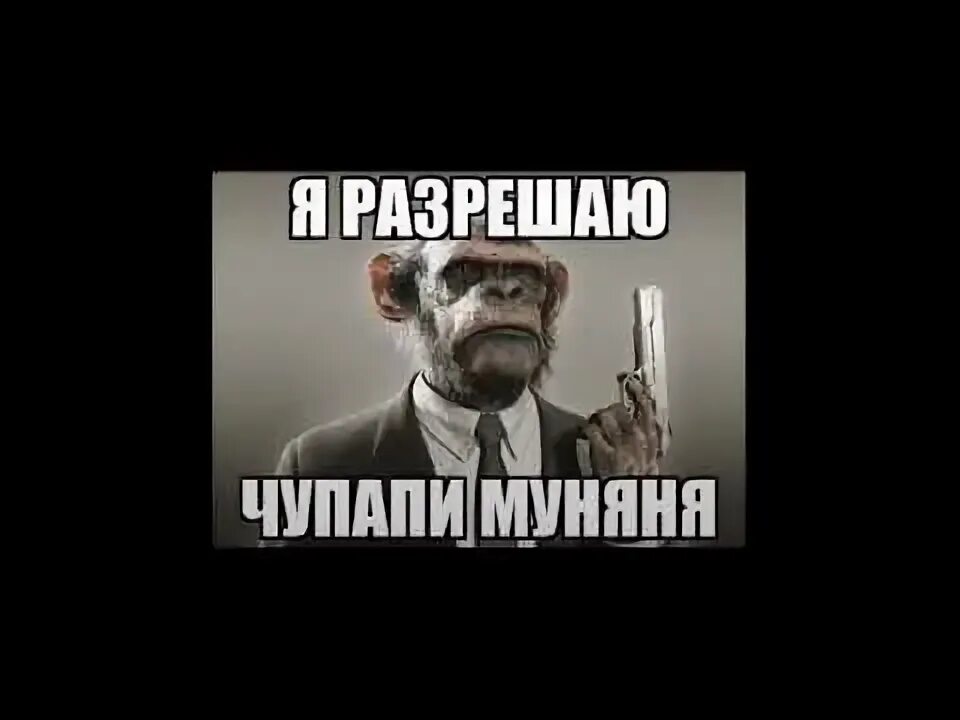 Чупапи муняню чупапи муняне чупапи муняню. Чупапи муняня. мемы чупапи муняня. чупапи муняню тик ток. чупапи муняня обезьяна.