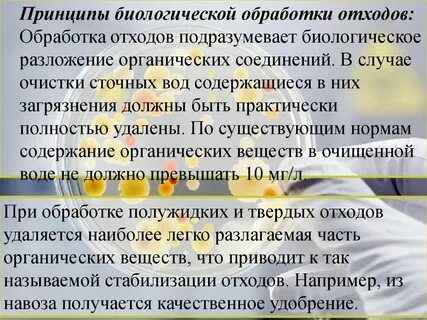 Биологическая обработка