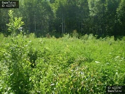 Земельный березовский свердловская область