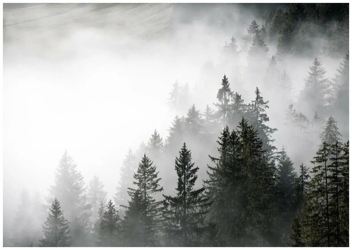 3 from the fog. Постер туман. 3 from the fog. 3 from the fog. 3 from the fog.