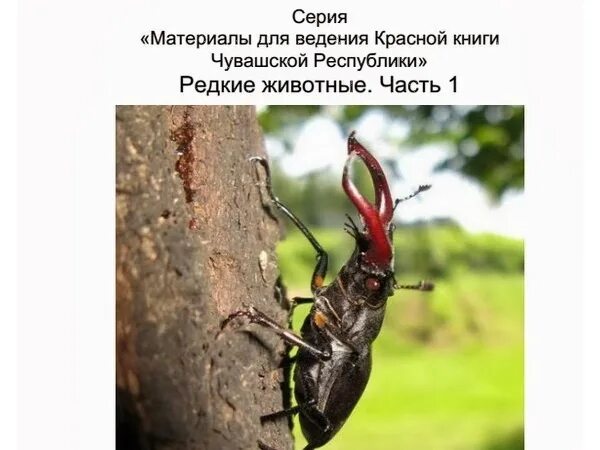Красная книга Чувашии