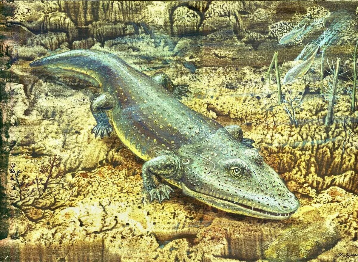 Вымершее морское пресмыкающееся с рыбообразным телом. Лабиринтодонты Триасового периода. Лабиринтодонты —мастодонзавры. Лабиринтодонты мезозоя. Палеозойская Эра стегоцефалы.