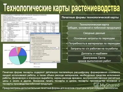 Технологическая карта особенности