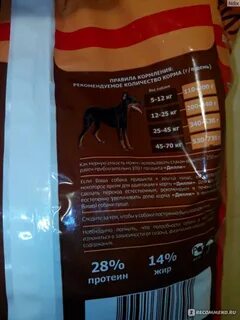 Чем отличается корм