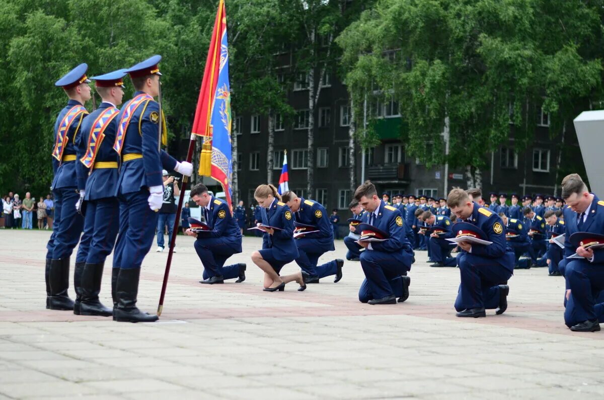 Высшее образование новокузнецк