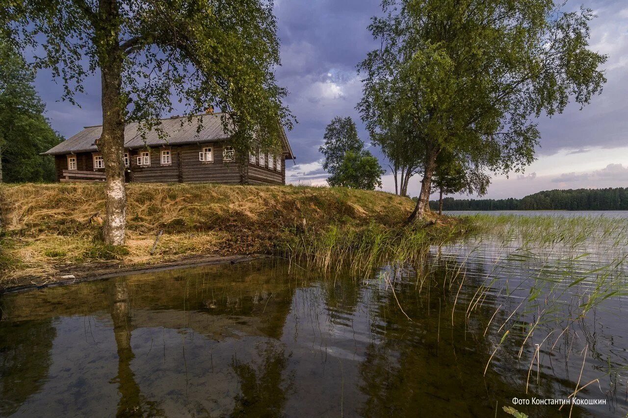 Кенозерский парк сайт. Кенозерский национальный парк. Кенозерский национальный парк Архангельская область. Д Вершинино Кенозерский парк. Кенозерский национальный парк природа.