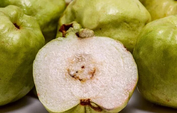 Айва узбекская. Как называется фрукт похожий на яблоко. Как называется фрукт похожий на яблоко. Яблоко айва. Звездное яблоко фрукт вьетнам.