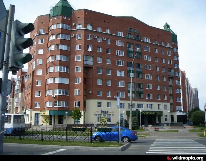 Героев 74 сосновый бор. Липовский проезд 5 сосновый бор. Финский залив сосновый бор пляж. Липово ленинградская область сосновый бор. Липовский сосновый бор.