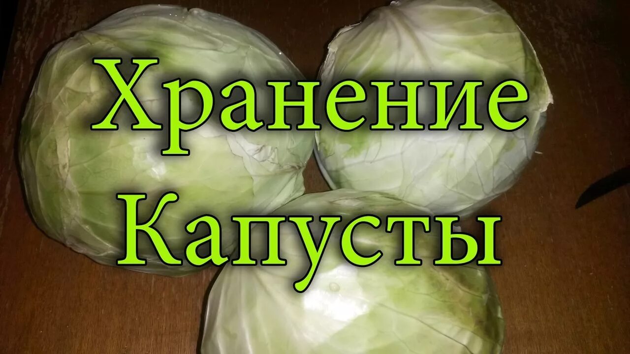 Как сохранить свежую капусту зимой