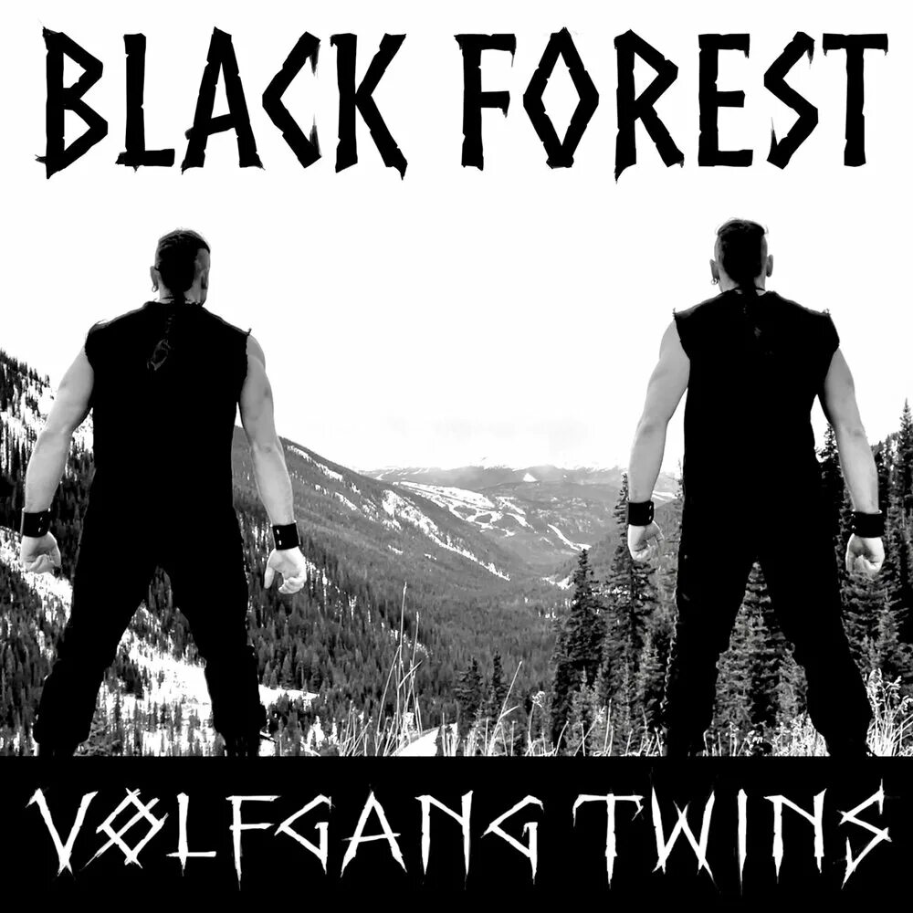 Volfgang twins group. Jörmungandr от volfgang twins. Volfgang twins фото. Night raid volfgang twins. Volfgang twins - wolf path.