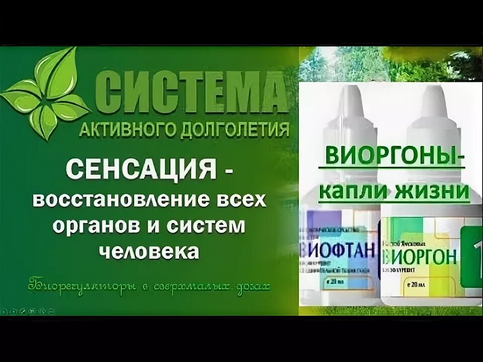 Долголетие ярославль. Система активного долголетия. Сад-Аклон. Виоргон компании сад. Капли Виоргон.