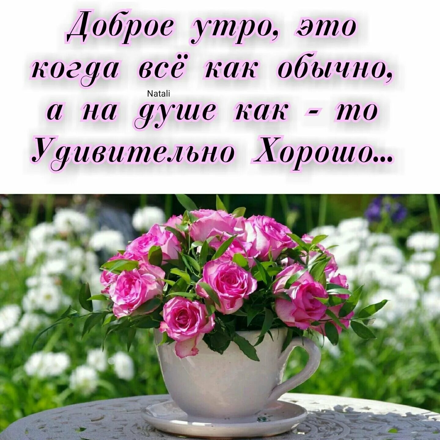 Доброе утро Доброе утро, Открытки