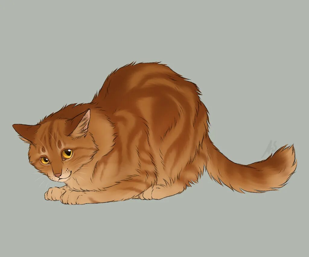 Терновник кот. Feathertail коты воители. Терновник кот. Коты воители львиное племя. Коты воители терновник.