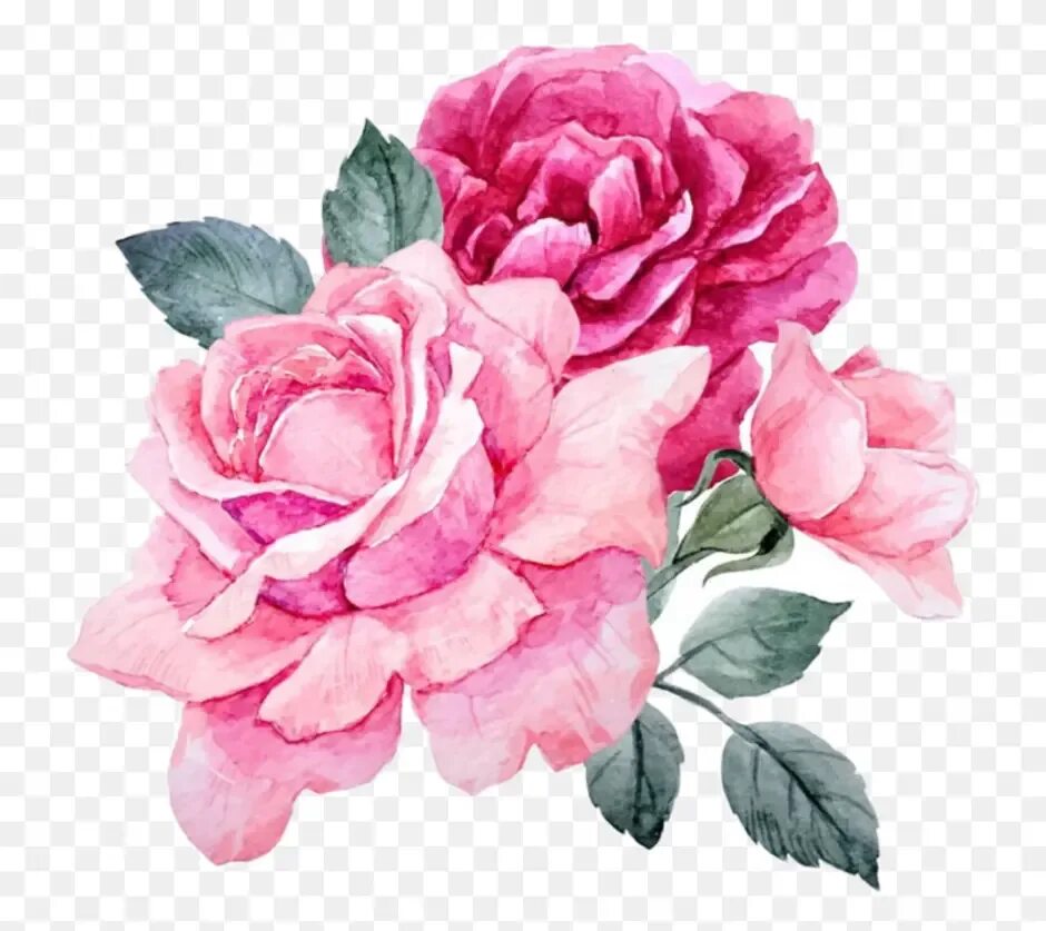 Нарисовать розовый цветок. Акварельные пионы. Розовые Акварельные цветы. Розы пионы акварель.