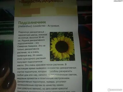 Подсолнечник инструкция