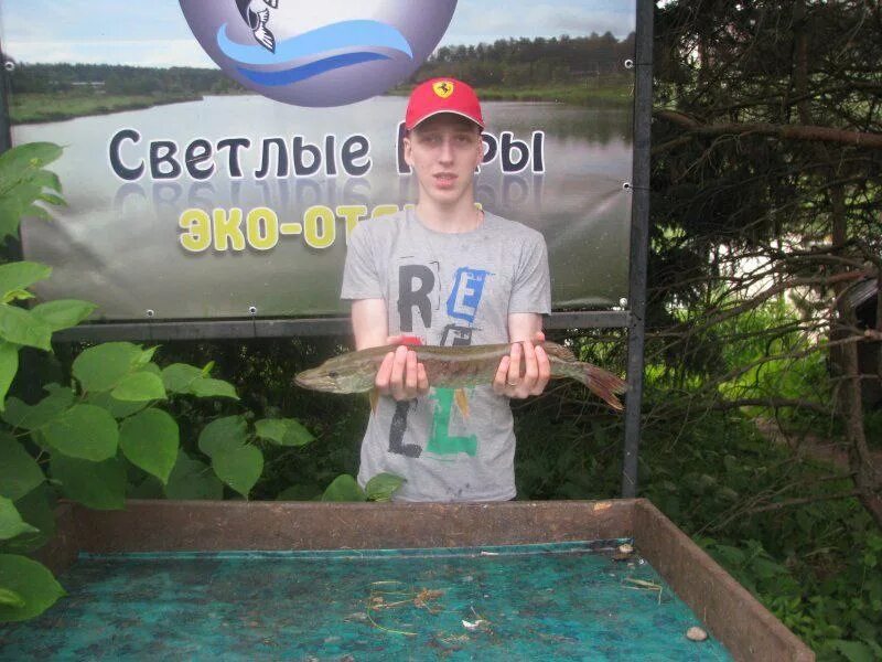 русфишинг светлые горы