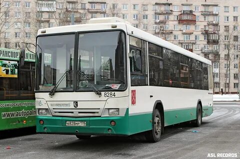 42 автобус спб
