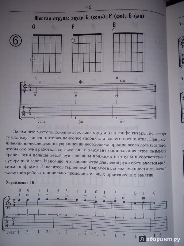 Обучение гитары для начинающих с нуля. Самоучитель по игре на гитаре с нуля. Самоучитель гитары с нуля. Самоучитель на гитаре для начинающих. Игра на гитаре с нуля самоучитель.