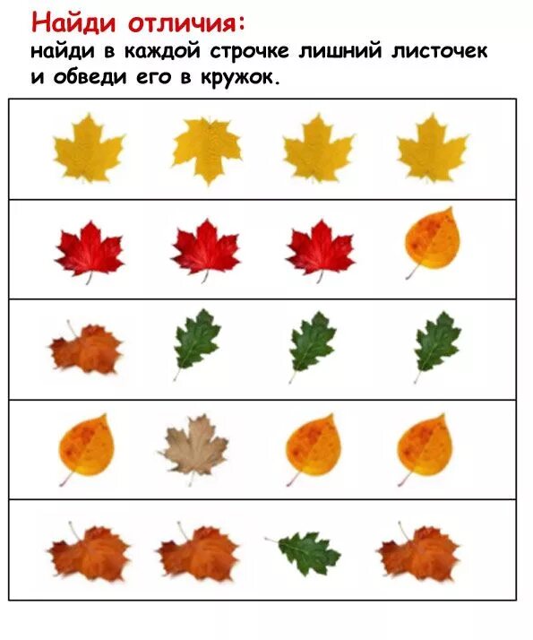Конспект занятия по теме деревья. Осенние задания для дошкольников. ос5нь задания для детей. задания для детей на тему осень. задания по теме осень для дошкольников.