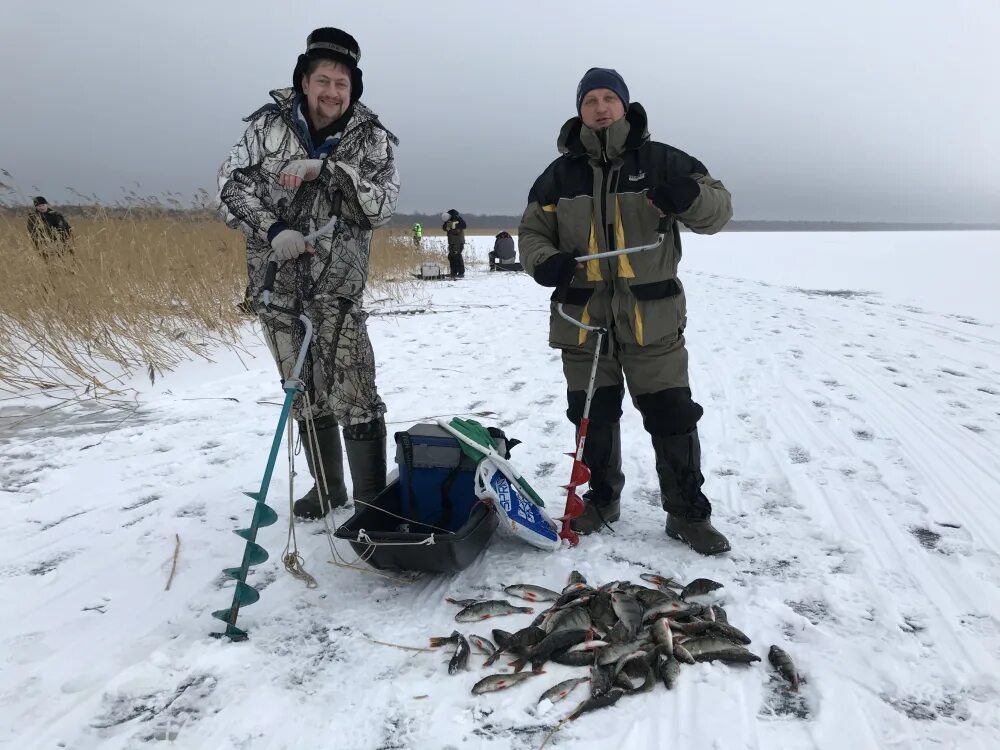 Рыбалка в ленинградской области на ладоге. Зимняя рыбалка на Ладоге. Рыбалка на Ладоге зимой. Рыбалка на Ладожском озере. Зимняя рыбалка на Ладожском озере.