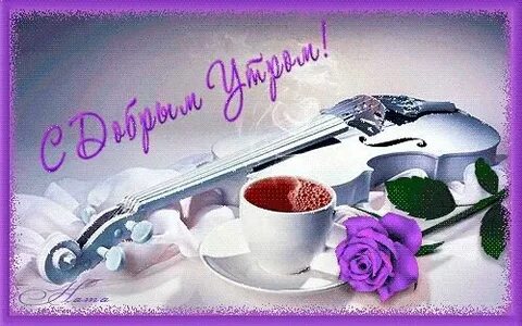 Скрипка утро