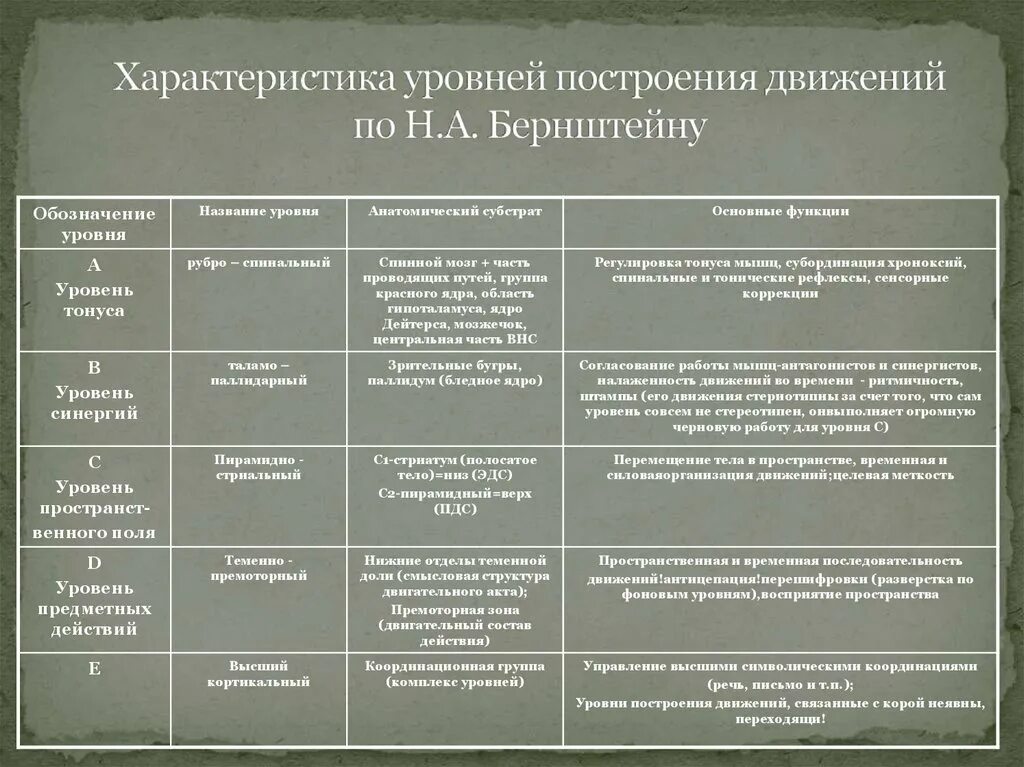 Нарушение организации движений. Уровни организации движений по Бернштейну таблица. Уровни построения движений по н.а Бернштейну. Функциональные уровни организации движений по н.а. Бернштейну. Неврологические уровни Бернштейна.