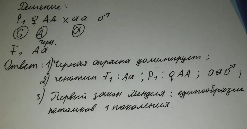 При скрещивании черного кролика. При скрещивании черной самки кролика с белым. При скрещивании черной самки кролика. При скрещивании черных кроликов.