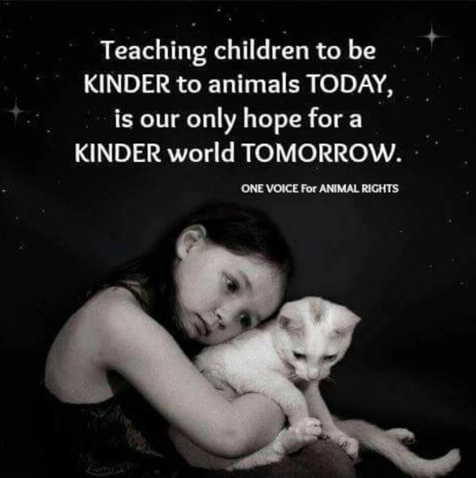 Be kind to the world. Дети и животные цитаты. Дети м животные цитаты. Be kind for animals. Teaching children.